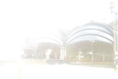 DSC_7186 (Large).JPG